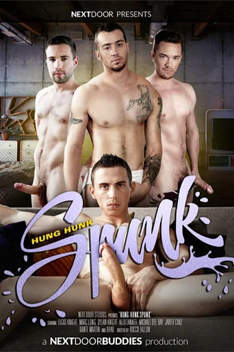 Movie poster for Hung Hunk Spunk (2016)