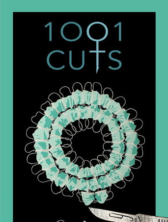 Movie poster for 1001Cuts (2024)