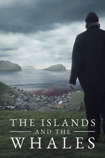 Movie poster for The Islands and the Whales (2016)