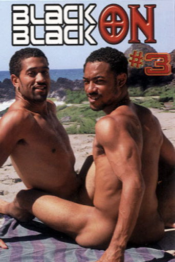 Movie poster for Black on Black 3 (2001)