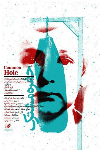 Movie poster for Common Hole