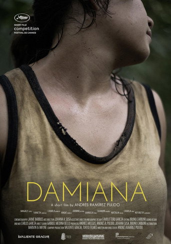 Movie poster for Damiana (2017)