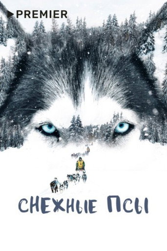 Movie poster for Snow Dogs (2024)