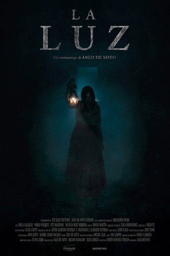 The Light poster