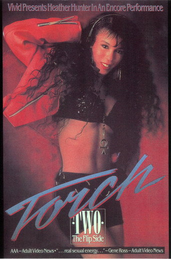 Movie poster for Torch 2 (1991)