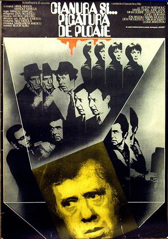 Movie poster for The Cyanide and the Raindrop (1978)