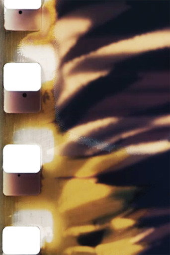 Movie poster for Filmabuse (Original) (1975)