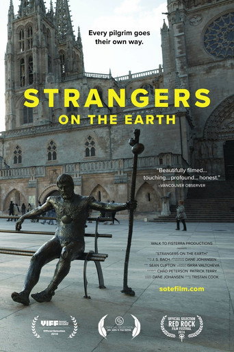 Movie poster for Strangers On The Earth (2017)
