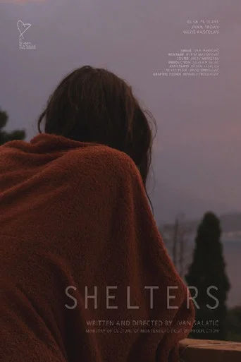 Movie poster for Shelters (2014)