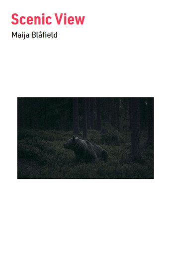 Movie poster for Scenic View (2023)