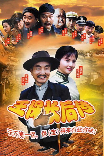 王保长后传 poster