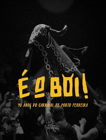 Movie poster for É o Boi (2024)