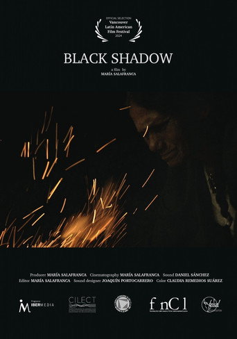 Movie poster for Black Shadow (2024)