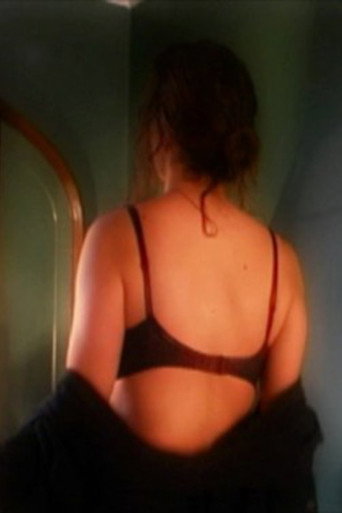 Movie poster for Incidence or Reflection (2003)