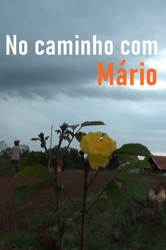 Movie poster for No Caminho com Mário (2014)