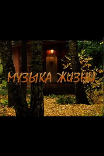 The Music of Life poster