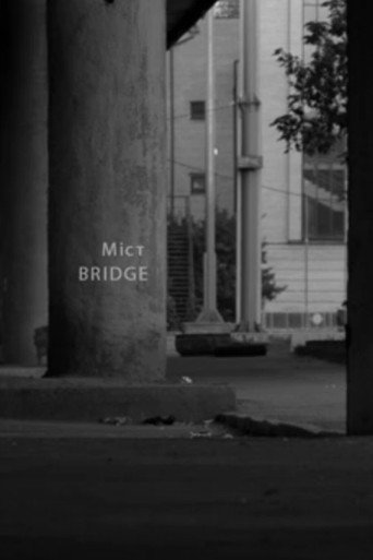 Movie poster for Bridge (2014)