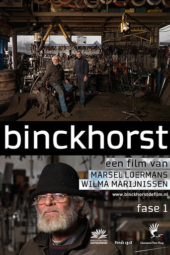 Movie poster for Binckhorst fase 1 (2014)