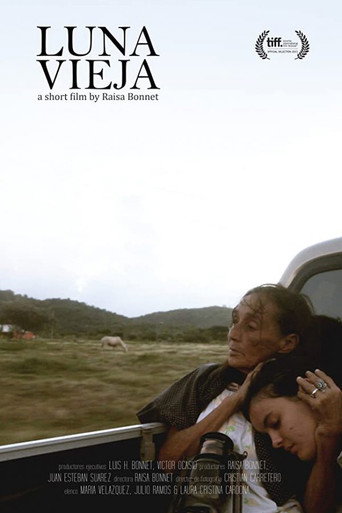Movie poster for Luna vieja (2013)