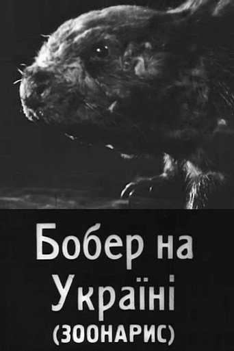 Movie poster for Beavers in Ukraine (1931)