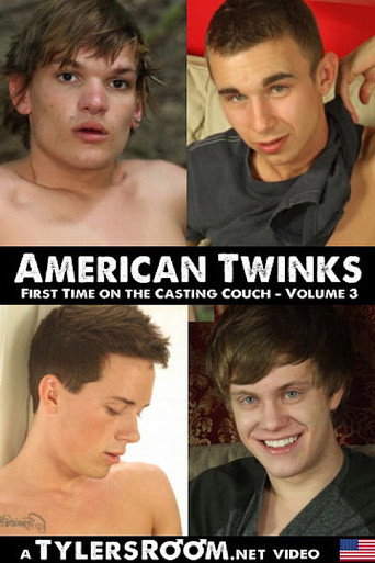 Movie poster for American Twinks 3 (2013)