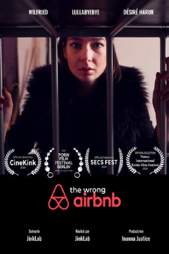 Movie poster for The Wrong Airbnb (2024)