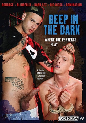 Movie poster for Young Bastards 9: Deep in the Dark - Where the Perverts Play (2016)