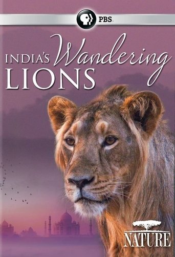 India's Wandering Lions poster