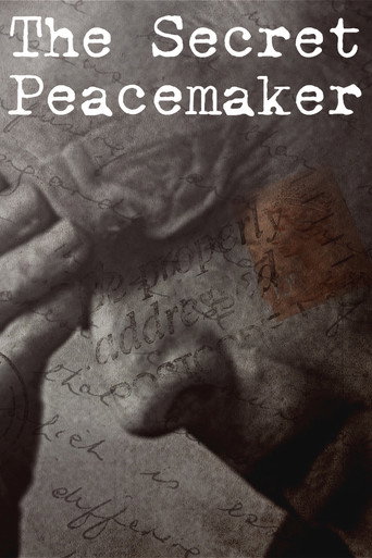 Movie poster for The Secret Peacemaker (2023)