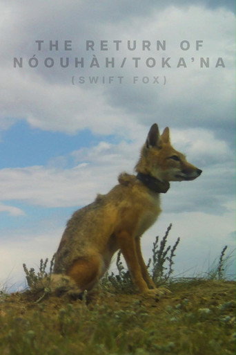 Movie poster for The Return of Nóouhàh-Toka’na (2024)