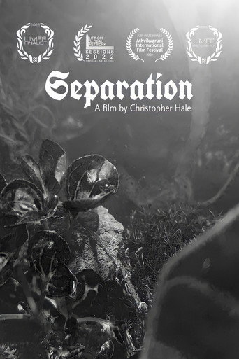 Movie poster for Separation (2022)