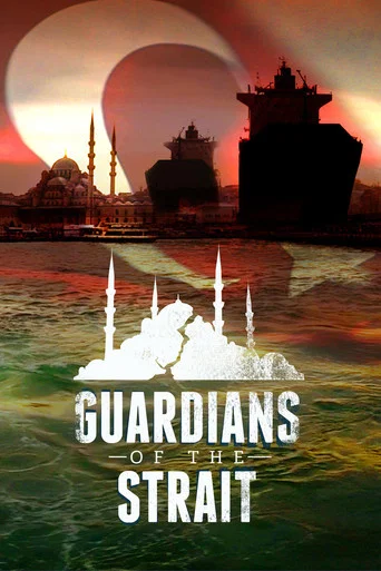 Movie poster for Guardians of the Strait (2017)