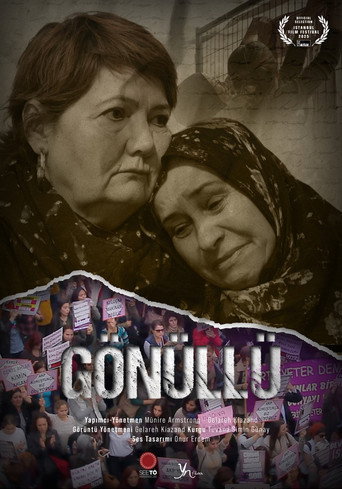 Movie poster for The Volunteer
