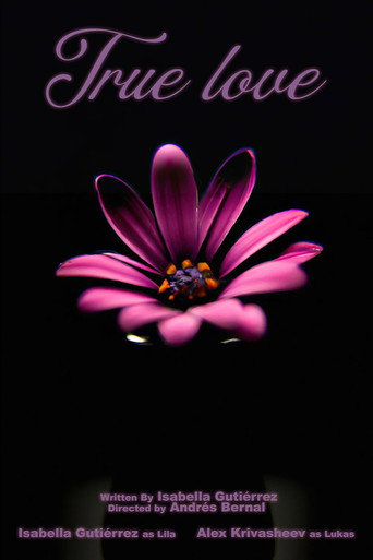 Movie poster for True Love (2024)