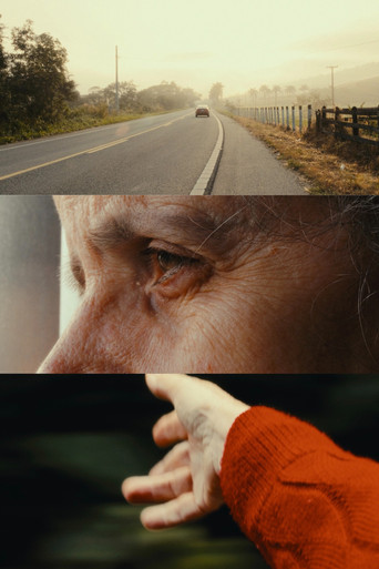 Movie poster for Madalena