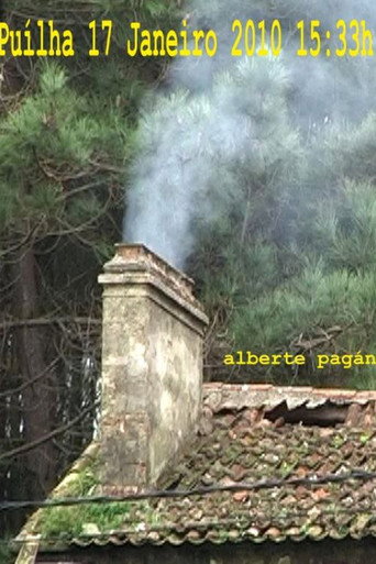 Movie poster for Puilha 17 Janeiro 2010 15:33h (2010)
