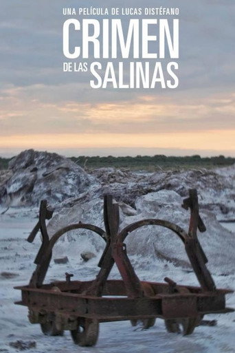 Movie poster for Crimen en las salinas (2016)