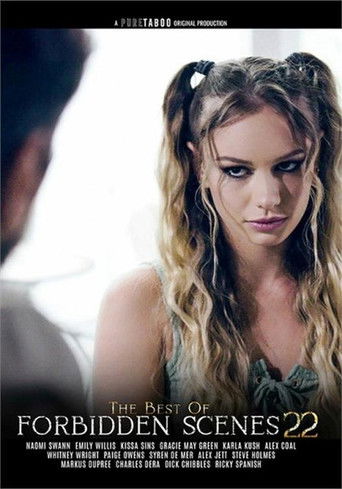 The Best Of Forbidden Scenes 22 poster