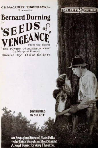 Movie poster for Seeds of Vengeance (1920)