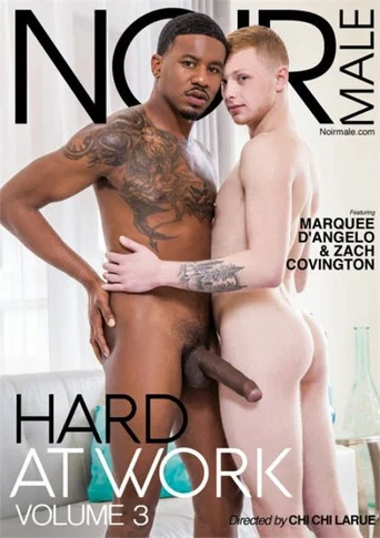 Movie poster for Hard At Work 3 (2019)