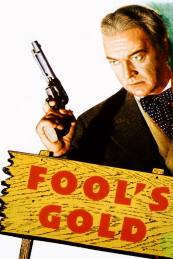 Fool's Gold poster