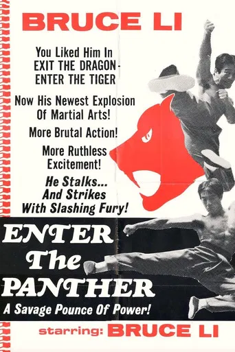 Enter the Panther poster