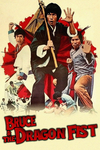 Movie poster for Bruce and the Dragon Fist (1977)