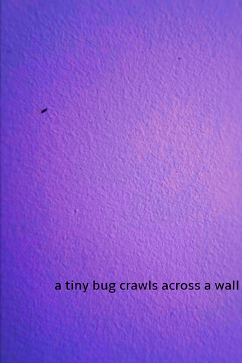 Movie poster for a tiny bug crawls across a wall (2024)