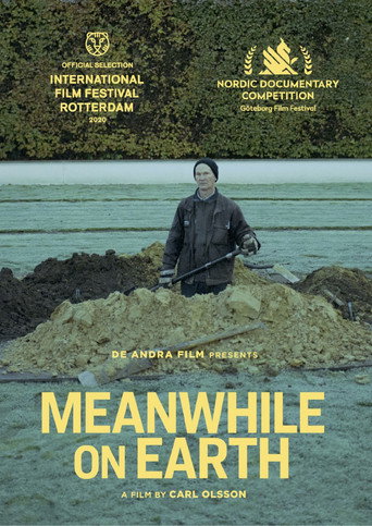 Movie poster for Meanwhile on Earth (2020)