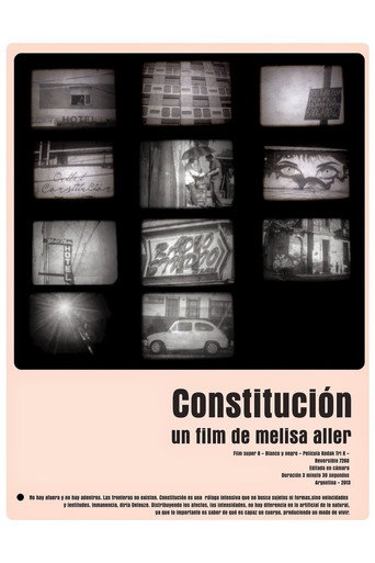 Movie poster for Constitution (2013)