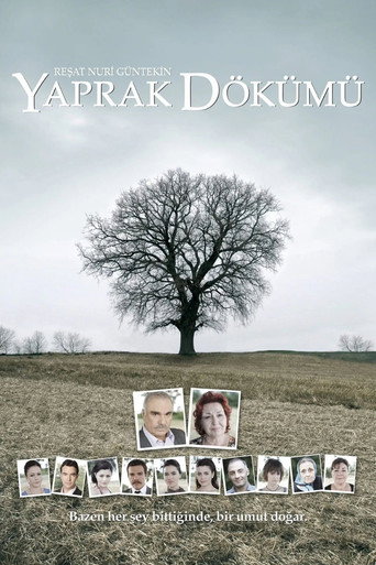 Series poster for Falling Leaves (2006)