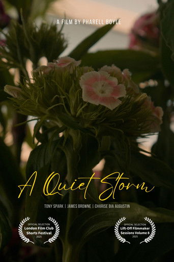 A Quiet Storm poster