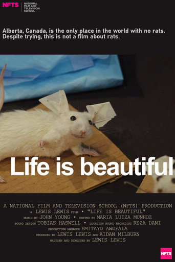 Movie poster for Life Is Beautiful (2026)