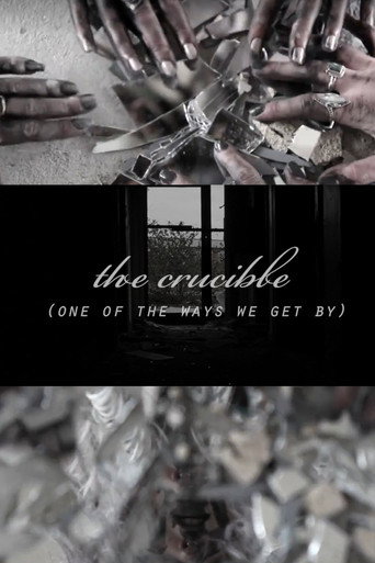 Movie poster for Crucible (2013)